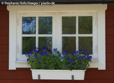 Skandinavische Fenster