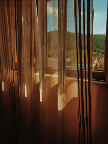 Vorhänge oder Panneaux: Unterschiede und Gemeinsamkeiten